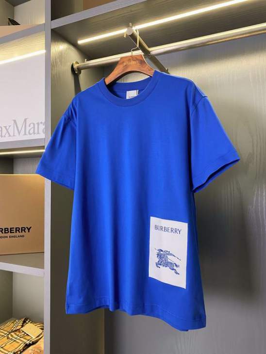 Picture of Burberry T Shirts Short _SKUBurberryS-2XLaztx955119926